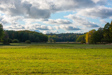 Green farm fields between forests at fall.