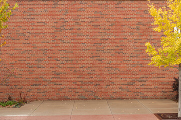 Brick wall with autumn leaves