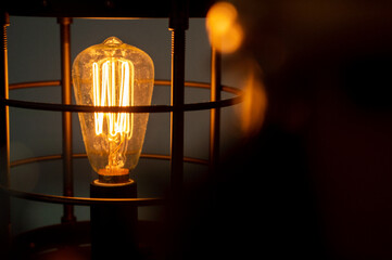 Edison bulb in a cage with foreground
