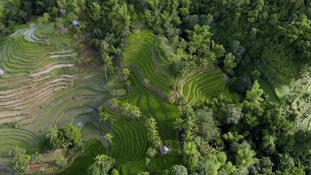 Aerial drone view Tibiao Rice Terraces near the river. Tibiao, Antique, Philippines