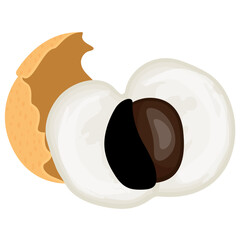 
Icon of fresh peeled fruit with seed, depicting longan
