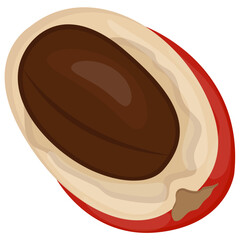 
A half cutted fruit with drune in it depicting lucuma
