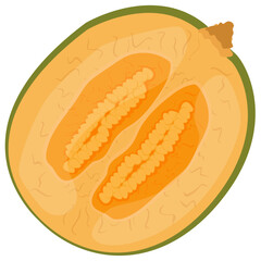 
A round shaped fruit having small seeds, cantaloupe
