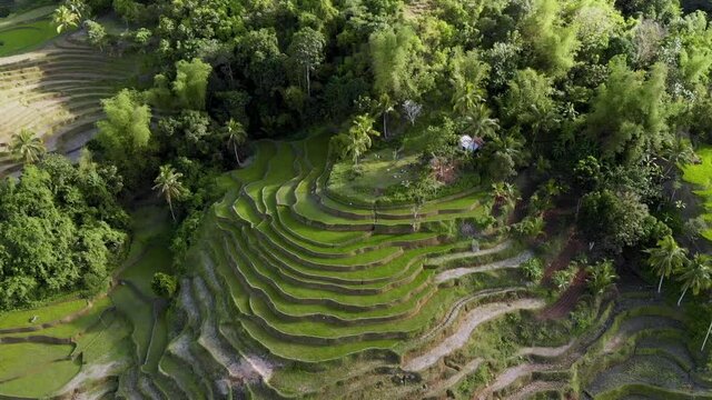 Aerial drone view Tibiao Rice Terraces near the river. Tibiao, Antique, Philippines