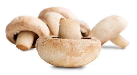 Mushroom.