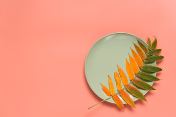 Abstract autumn colorful greeting card. Autumn leaf in round plate on a pink background