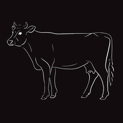 Print Hand drawn cow line vector illustration art.