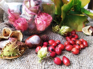 Still life with autumn leaves,dry pink roses,red berries,chestnuts on the table