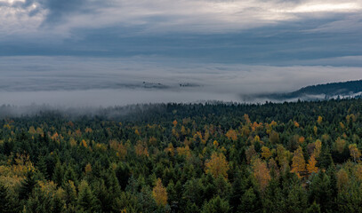 Fototapeta premium Moving clouds and autumn fog over the Black Forest