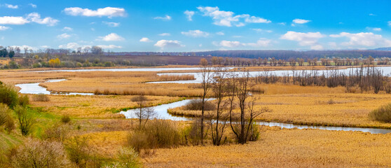 Spring landscape with a winding river among dry grass and blue sky with white clouds