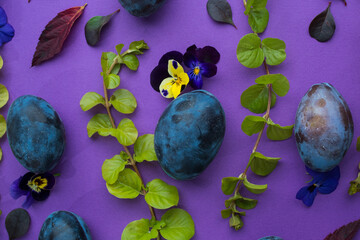 ripe plum on a purple background