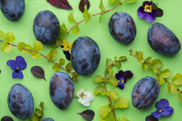 ripe plum on a green background
