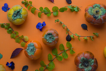 ripe persimmon, persimmon season