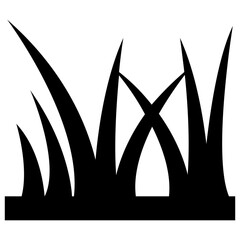 
A land with soil having small cornered leaves, grass 
