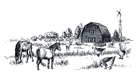 Farm illustration. Vector drawing of a village. Horses, geese and goat on the lawn near the house and the windmill. Rural landscape in sketch style. Design for packaging in retro style.