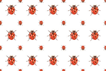 Watercolor hand painted pattern of red ladybug isolated on white background. Great for tissue paper, fabric, media design products