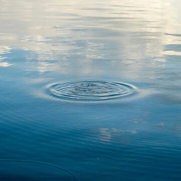 water ripples in circles in blue water