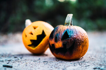 Calabazas de halloween en camino de bosque verde