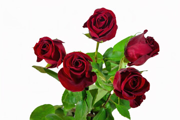 Bouquet of five red roses isolate on a white background.