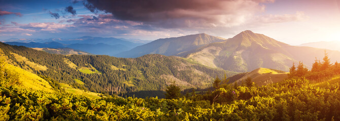 Fototapeta na wymiar Tranquil sunny day in alpine valley. Location place of Carpathian mountains, Ukraine.