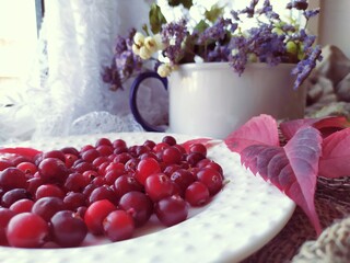 Still life with ripe red cranberries on a white plate and autumn dry flowers and leaves