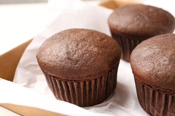 Delicious fresh chocolate cupcakes in box, closeup