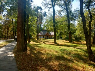 house in the woods