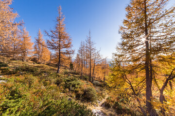 Autumn