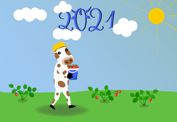 Cute bull in a hat carries strawberries in a bucket in his hands. Sunny day and clouds. strawberry plants in the background. Concept of summer and ripe strawberries. Vector illustration. Cow