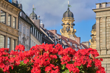 Red flowers on the background of the towers of Theatinerkirche in Munich, Germany