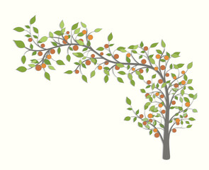 Tree with a curved branch with green leaves and red fruit