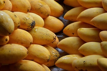 Ripe, yellow, fragrant mango. Mangoes sold from boats at a Floating Market in Thailand.