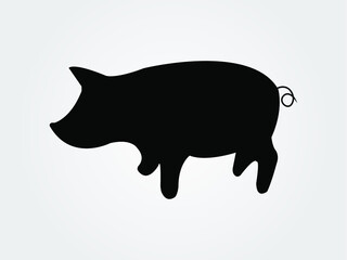 black pig