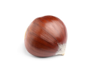 Obraz premium Fresh sweet edible chestnut isolated on white