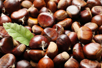 Fresh edible sweet chestnuts as background, closeup