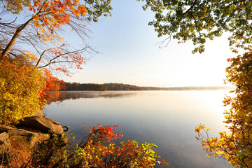 Beautiful New England Fall Foliage with water reflections at sunrise , Boston Massachusetts.