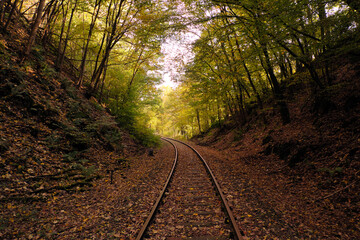 Stillgelegte Bahnstrecke Brexbachtalbahn durch den Westerwald bei Grenzau in Rheinland-Pfalz - Stockfoto