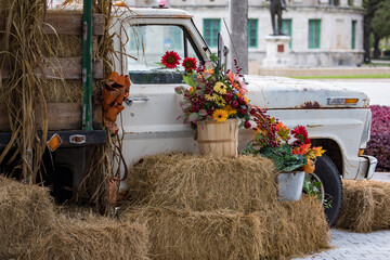 Old truck - harvest season - fall - October 