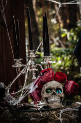 skull on halloween
