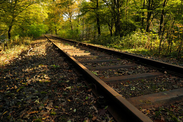 Stillgelegte Bahnlinie, eingleisige Strecke durch Waldgebiet - Stockfoto