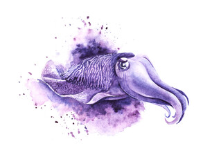 Watercolor image of cartoon purple cuttlefish on white backdrop. Hand drawn illustration of cute devilfish with thick tentacles growing from head, zebra-striped back and beautiful mantle around body