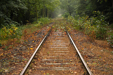 Zugewachsene stillgelegte Bahnstrecke Brexbachtalbahn im Westerwald bei Höhr-Grenzhausen in...