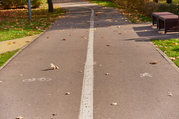 Paved road in the Park,divided by markings on the Bicycle and pedestrian parts.