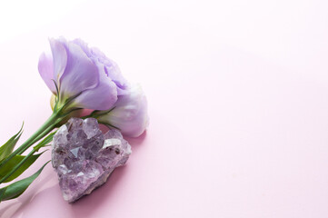 Beautiful purple eustoma (lisianthus) flowers in full bloom with green leaves and amethyst druses....