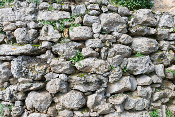 Stone wall background. Ancient wall with ivy growing. Old medieval castle. 