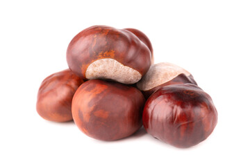 Horse chestnuts fruits, isolated on white background. Aesculus hippocastanum.
