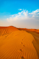 Fototapeta na wymiar Mleiha Desert in Sharjah.