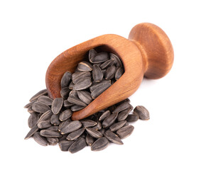 Sunflower seeds isolated on white background. Pile of fried sunflower seeds in wooden scoop.