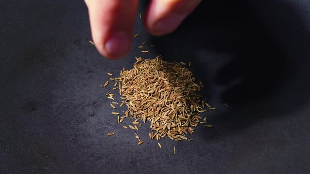 Close up of human hand putting dried cumin seeds into dark grey cast iron pan for roasting spices