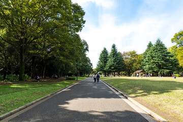 (東京都ｰ都市風景)休日の代々木公園風景８